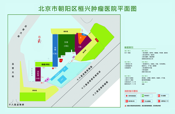 吃jb免费黄色网站北京市朝阳区桓兴肿瘤医院平面图